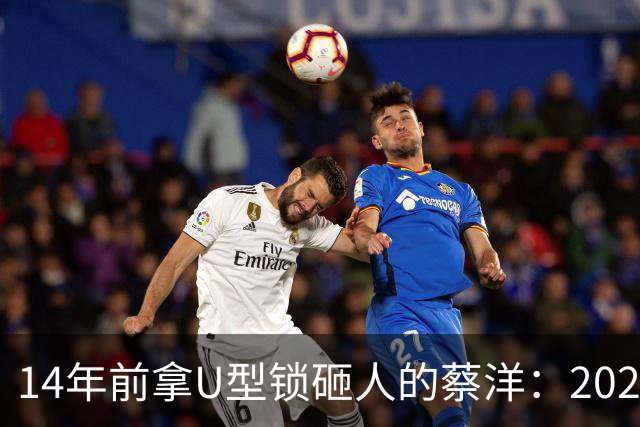 14年前拿U型锁砸人的蔡洋：2022年出狱，找不到工作靠打零工为生